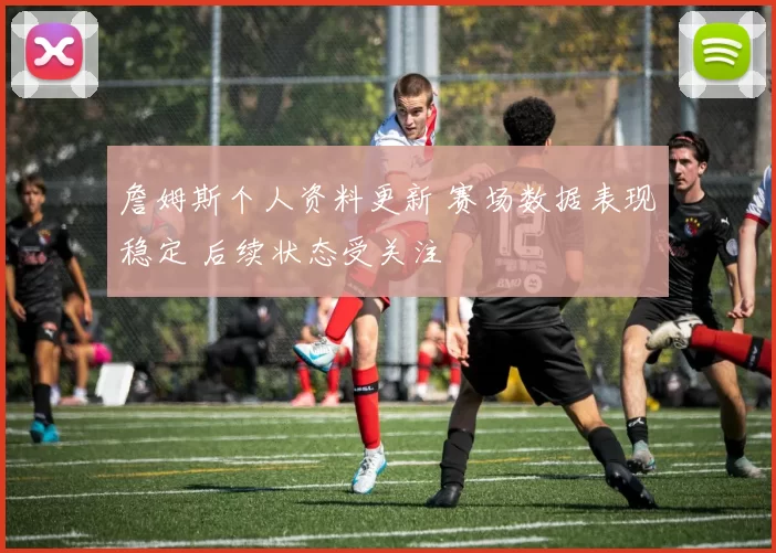 詹姆斯个人资料更新 赛场数据表现稳定 后续状态受关注