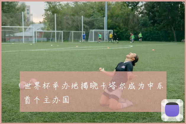 世界杯举办地揭晓卡塔尔成为中东首个主办国