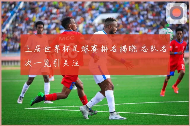 上届世界杯足球赛排名揭晓 各队名次一览引关注