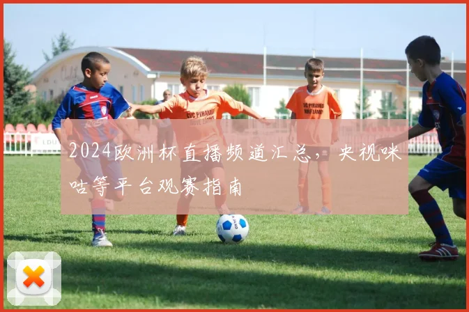 2024欧洲杯直播频道汇总,央视咪咕等平台观赛指南